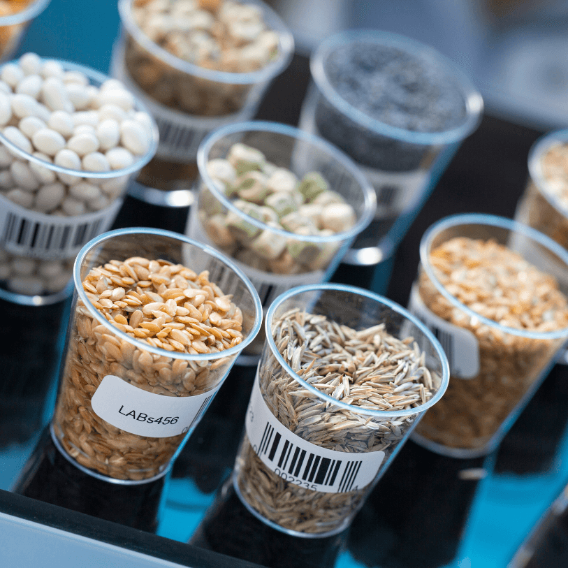 Natural Seeds