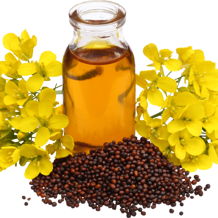 Yellow Mustard